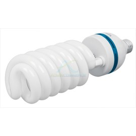 FOCO 55 W ESPIRAL T5 EN CAJA VOLTECH
